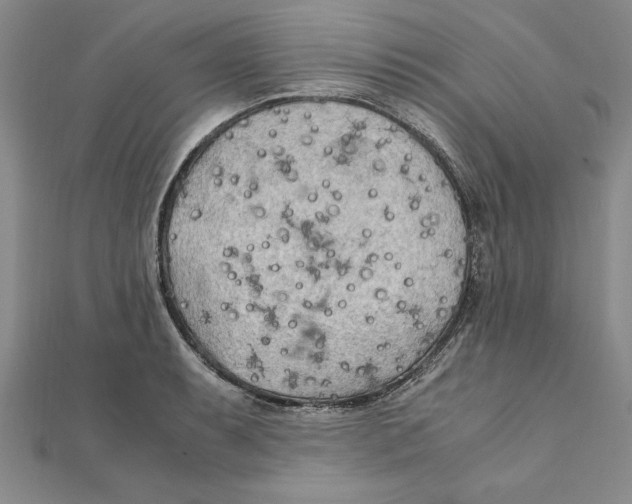 X0000111211087200907291246