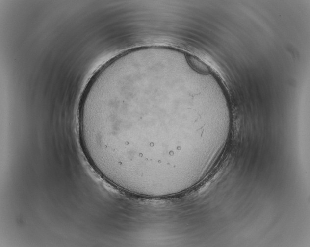 X0000111211088200907291246