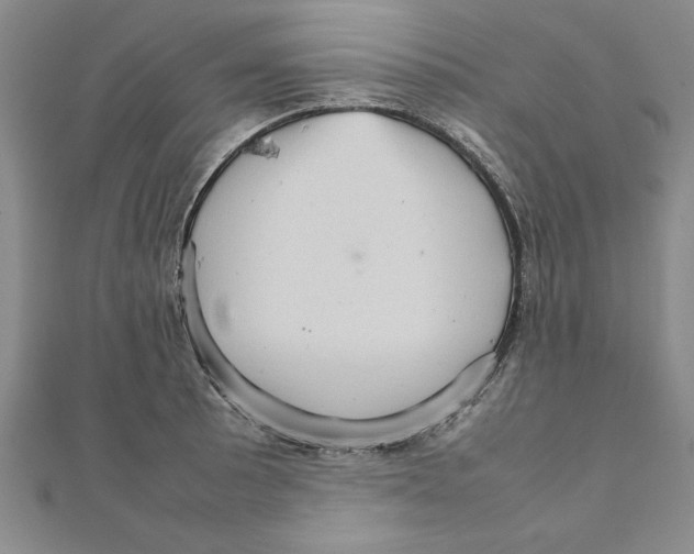 X0000111211089200907291246