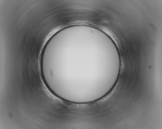 X0000111211090200907291246