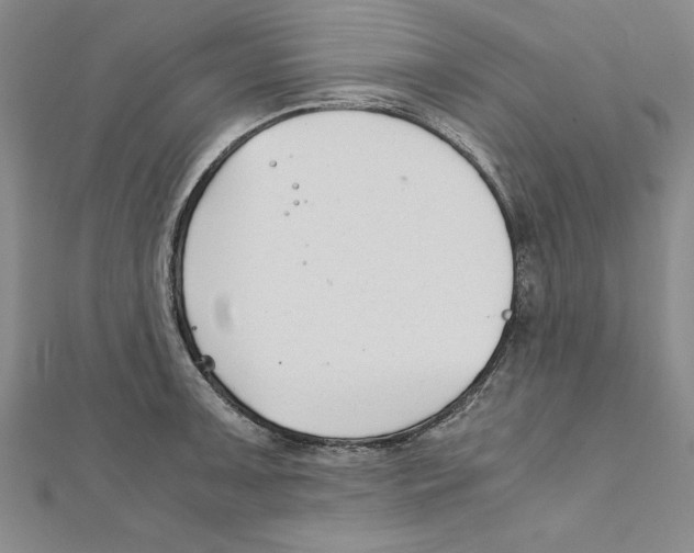 X0000111211091200907291246