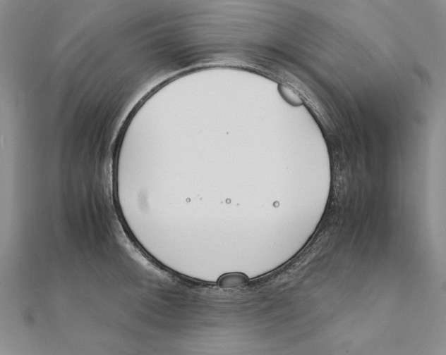 X0000111211092200907291246