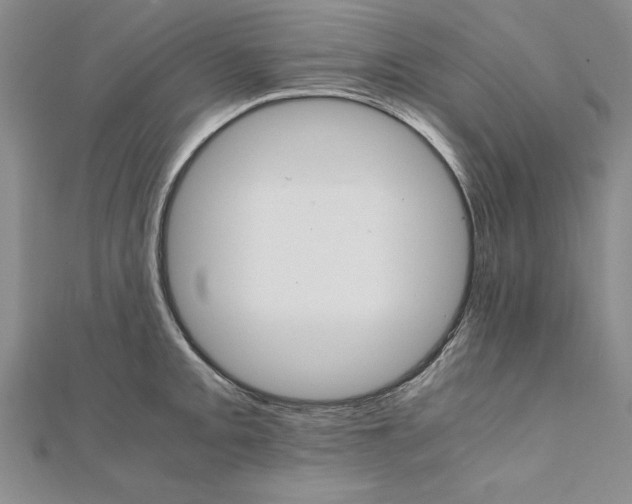 X0000111211093200907291246