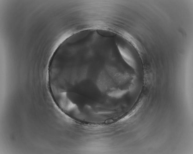 X0000111211095200907291246