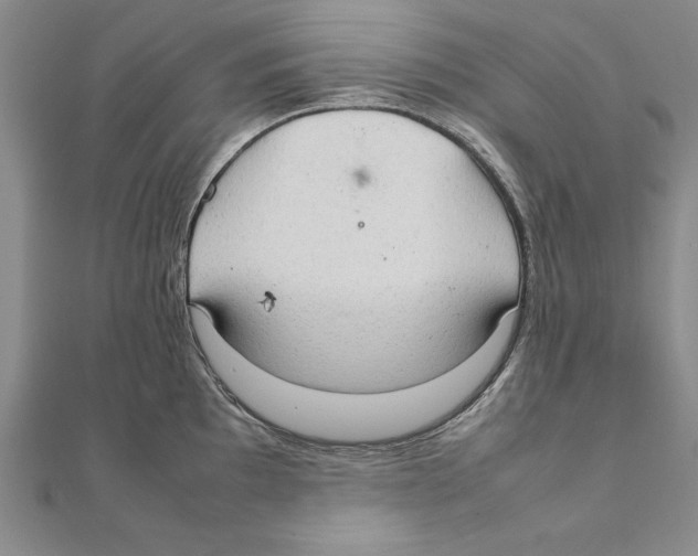 X0000111211097200907291246