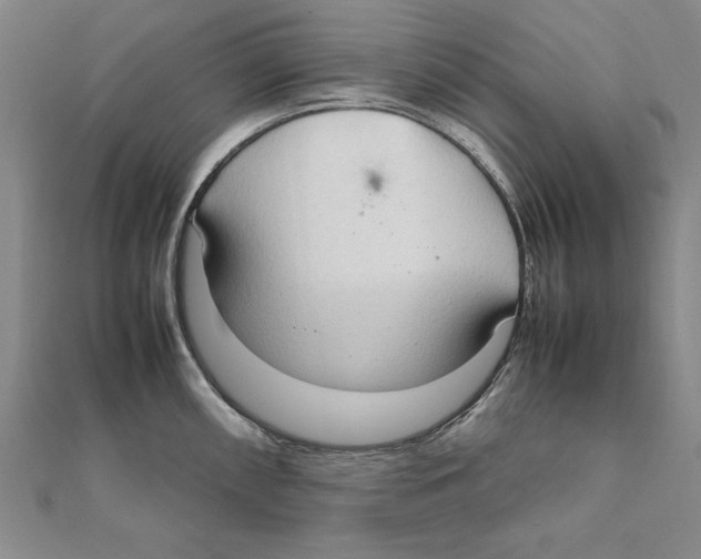 X0000111211098200907291246