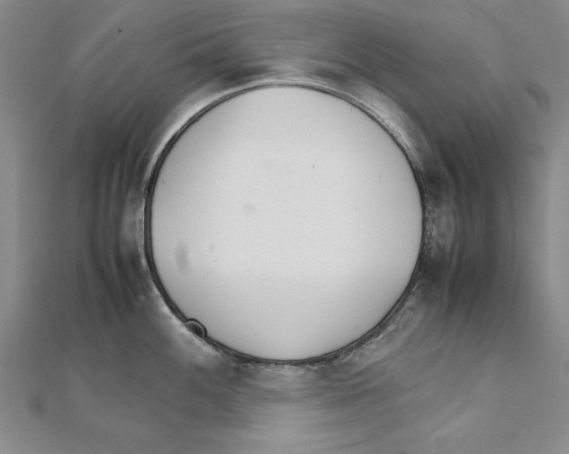 X0000111211100200907291246