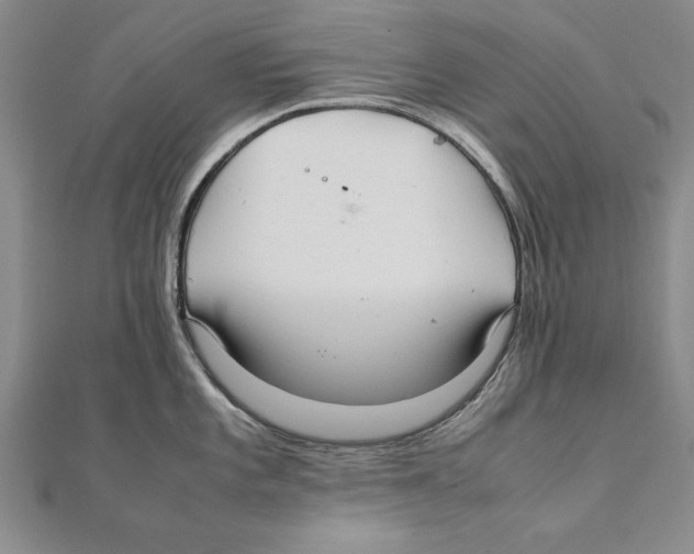 X0000111211101200907291246