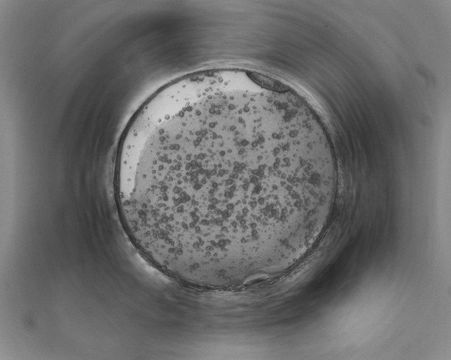 X0000111211102200907291246