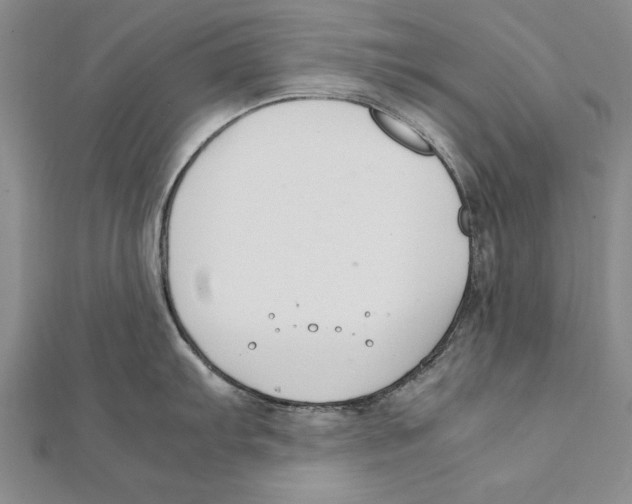 X0000111211103200907291246