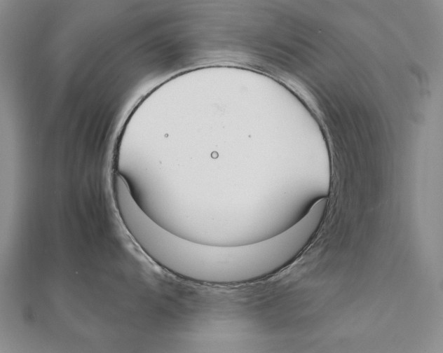 X0000111211104200907291246