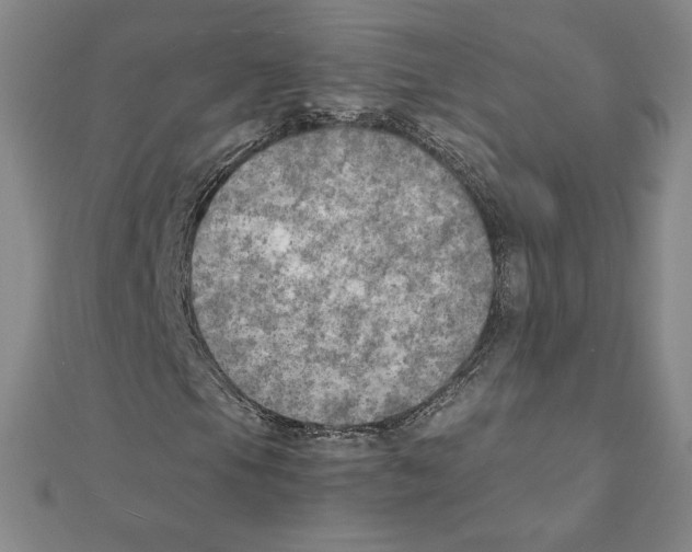 X0000111211105200907291245