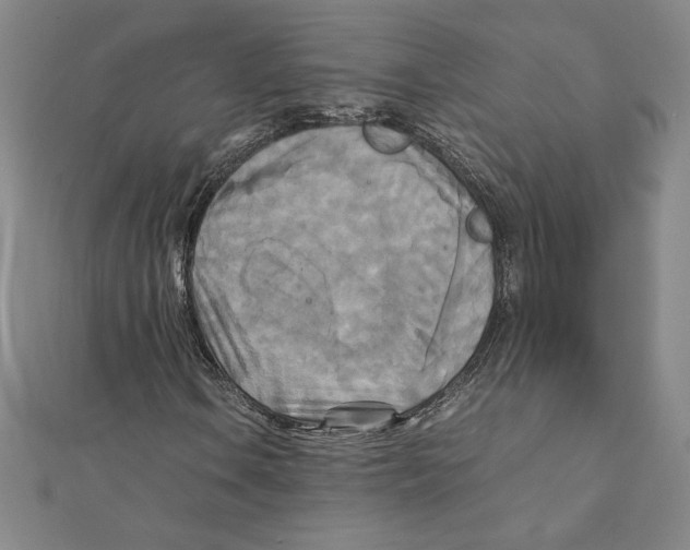 X0000111211106200907291245