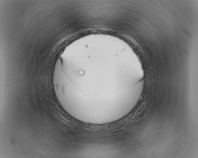 X0000111211112200907291245