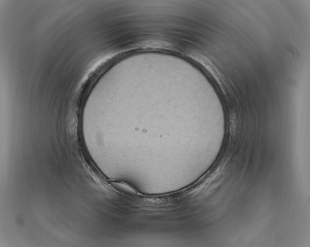 X0000111211115200907291245