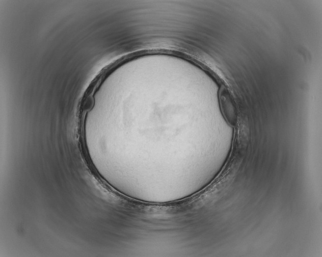 X0000111211116200907291245