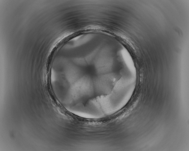 X0000111211117200907291245