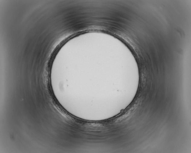 X0000111211119200907291245