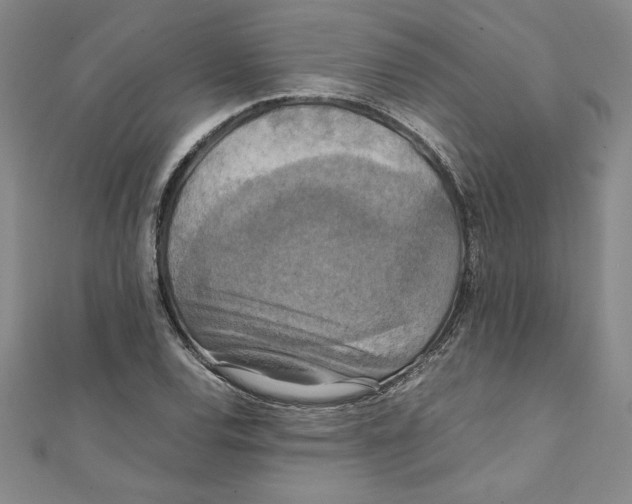 X0000111211120200907291245