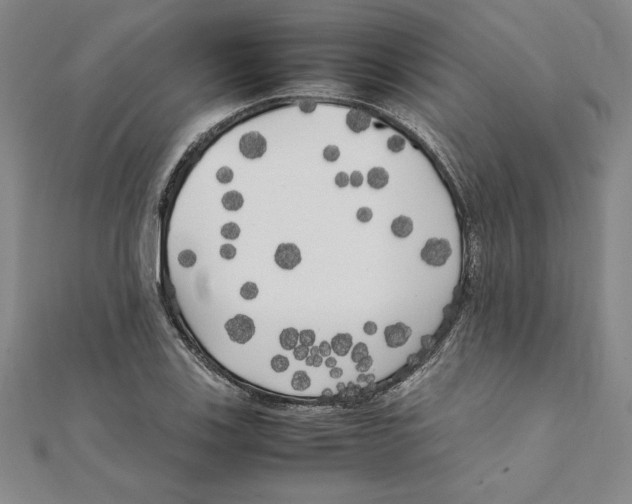 X0000111211123200907291245