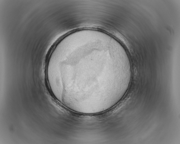 X0000111211124200907291245