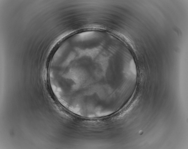 X0000111211125200907291245