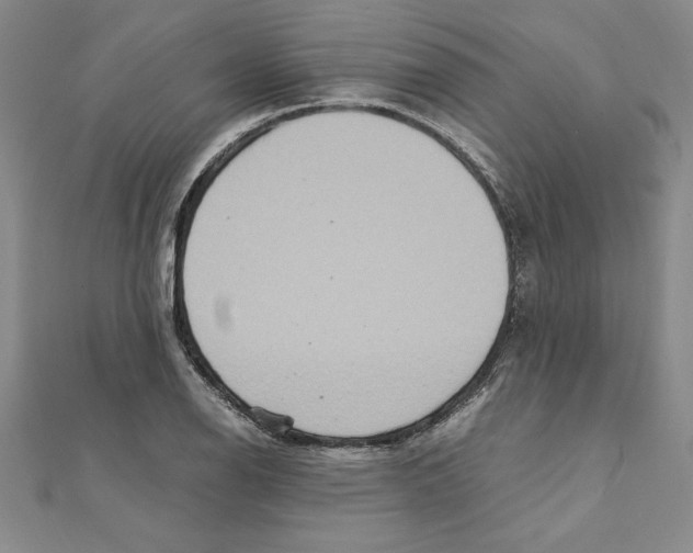 X0000111211126200907291245