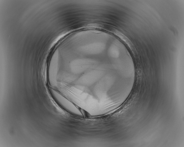 X0000111211127200907291245