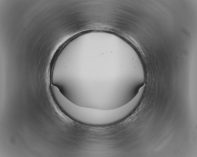 X0000111211128200907291245