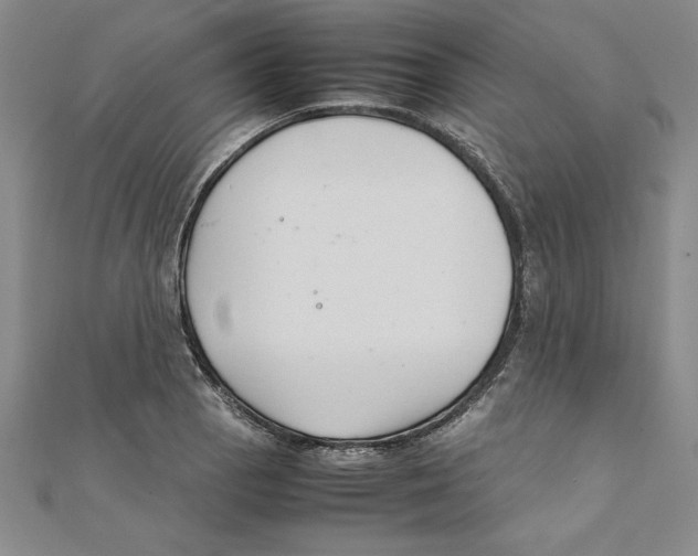 X0000111211129200907291245