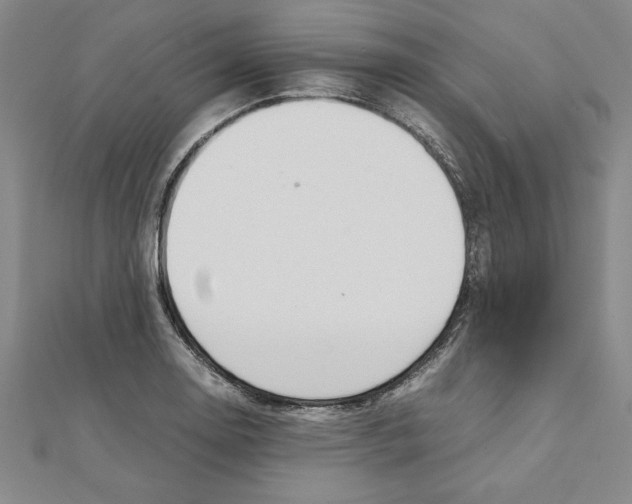 X0000111211130200907291245