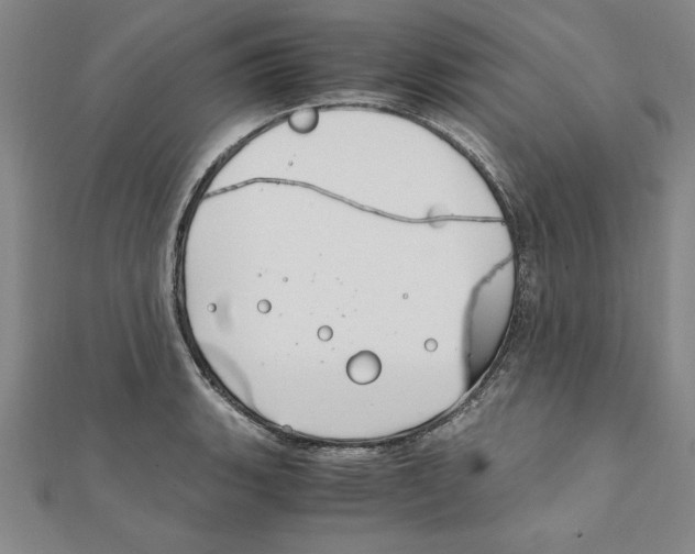 X0000111211135200907291245