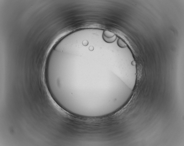 X0000111211139200907291245