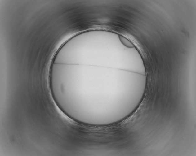 X0000111211143200907291246