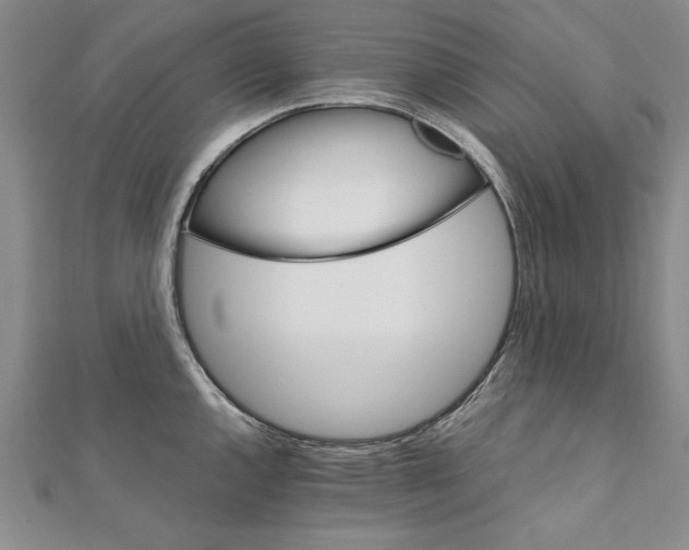 X0000111211144200907291246