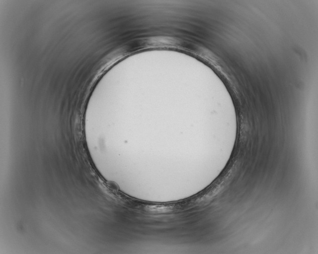 X0000111211145200907291246