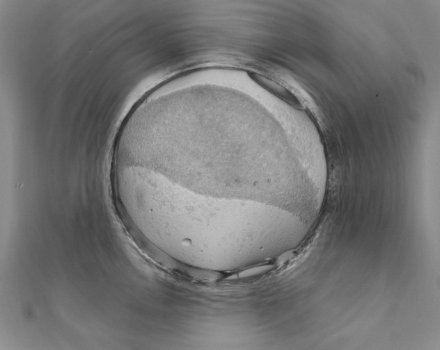 X0000111211146200907291246