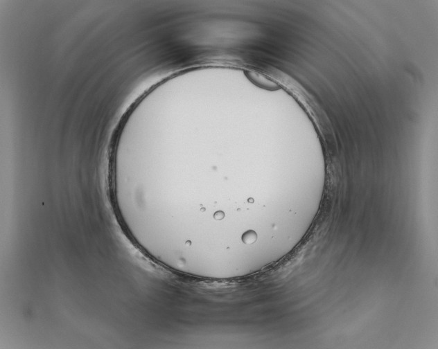 X0000111211147200907291246