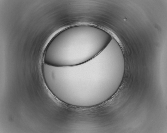 X0000111211148200907291246