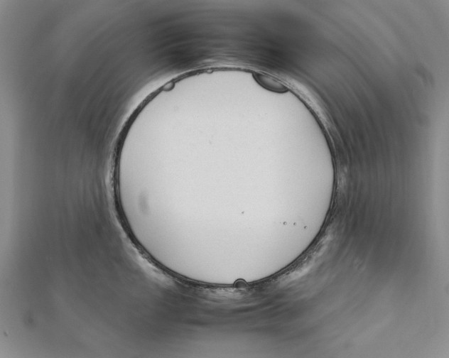 X0000111211149200907291246