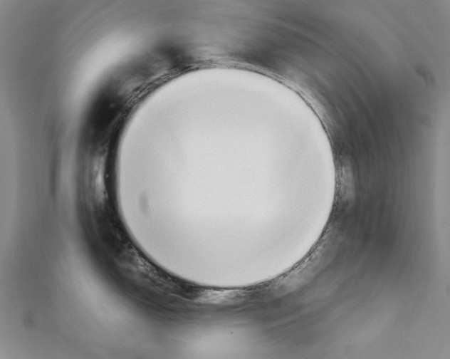 X0000111211150200907291246