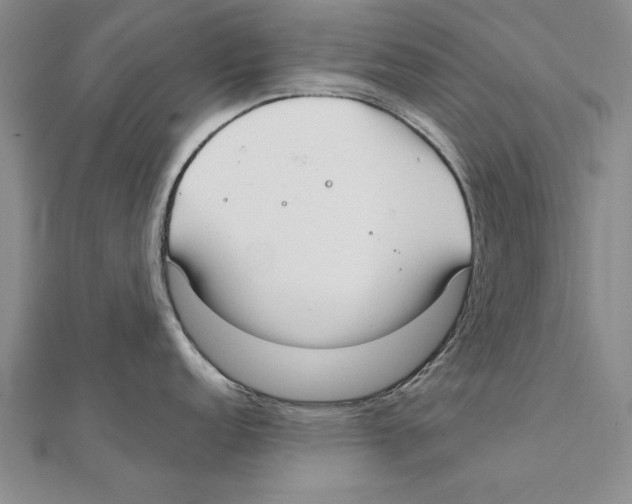 X0000111211152200907291246