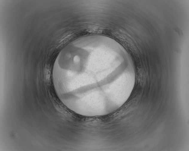 X0000111211154200907291245