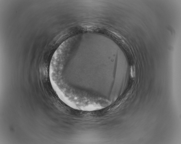 X0000111211155200907291245