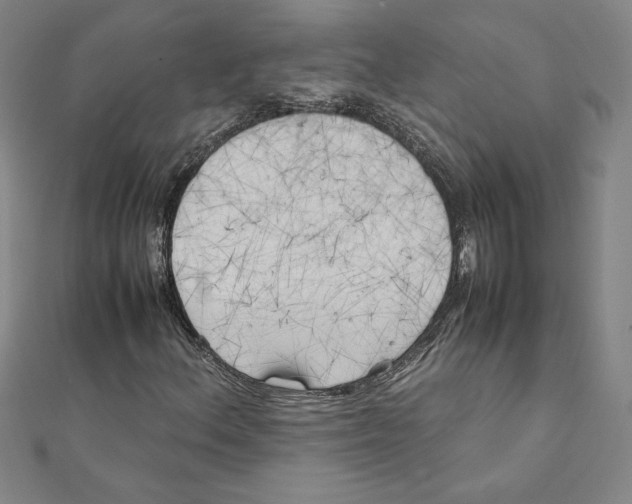 X0000111211156200907291245