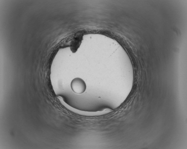 X0000111211157200907291245