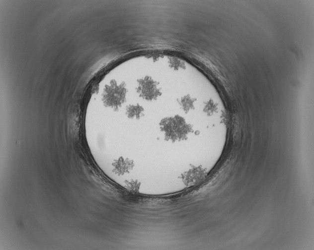 X0000111211163200907291245