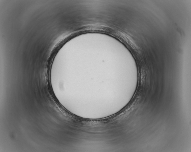 X0000111211164200907291245