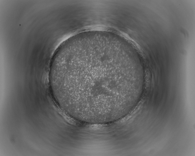 X0000111211166200907291245