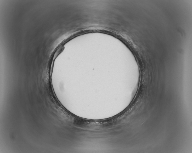 X0000111211167200907291245